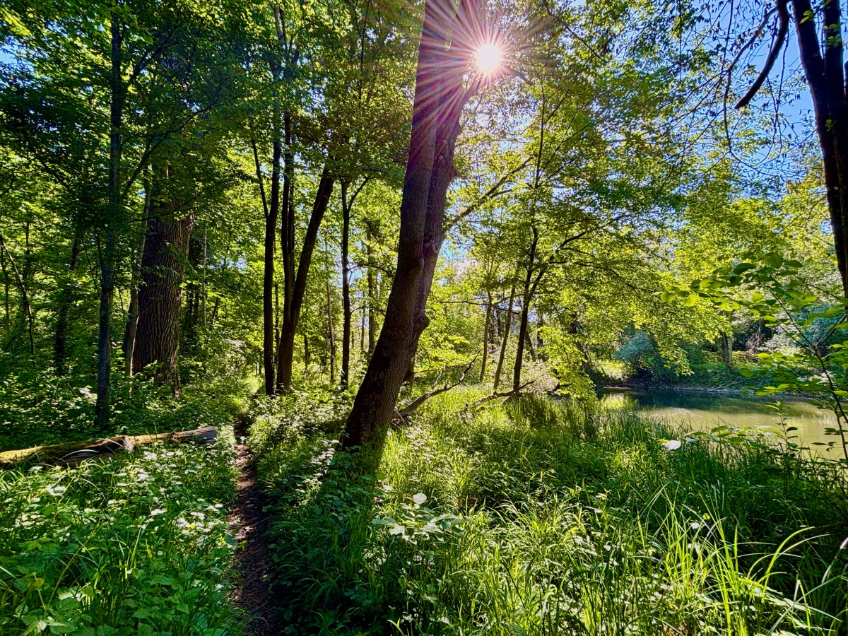 Amper Trails – Dachau to Unterschleißheim