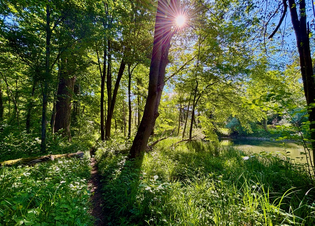 Amper Trails – Dachau to Unterschleißheim