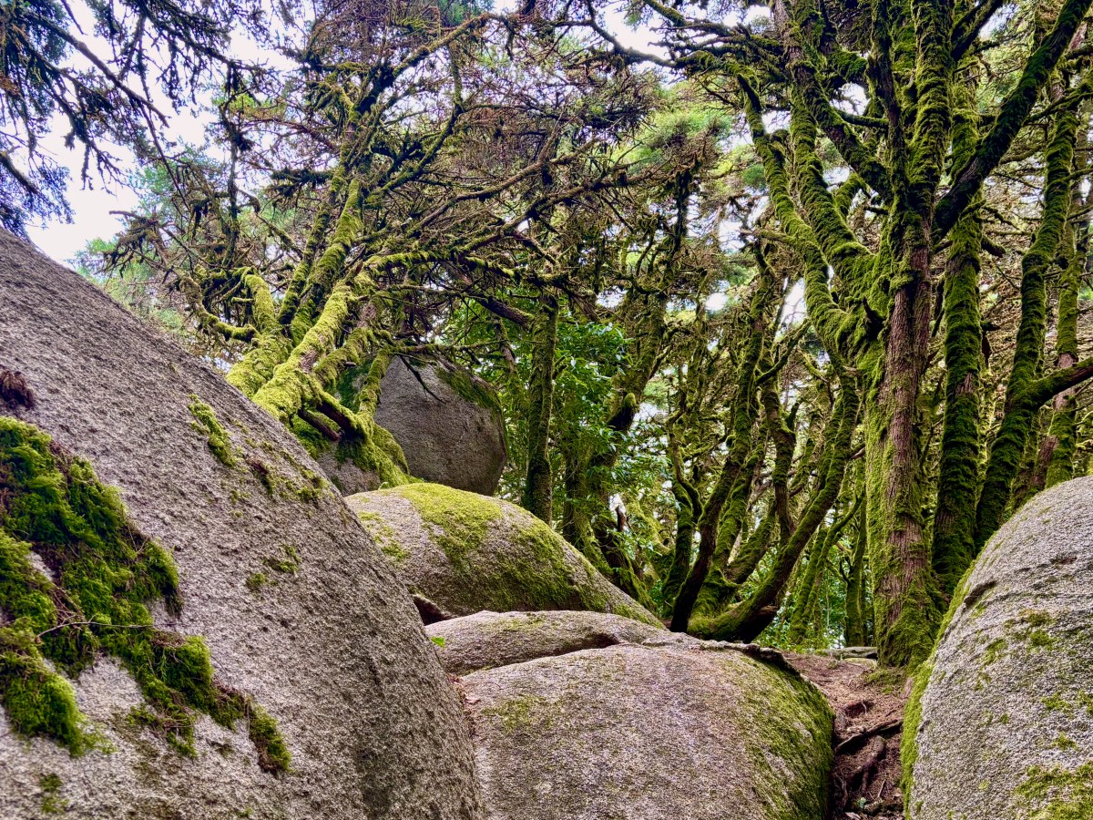 Sintra Coastal Hill&nbsp;Circuit