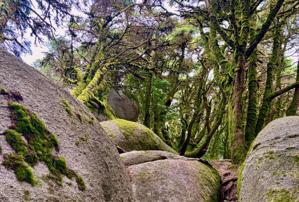 Sintra Coastal Hill&nbsp;Circuit