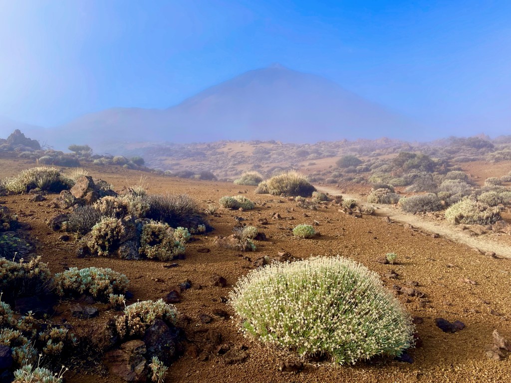 Teide National Park – Portillo to Montaña Negra and&nbsp;Blanca